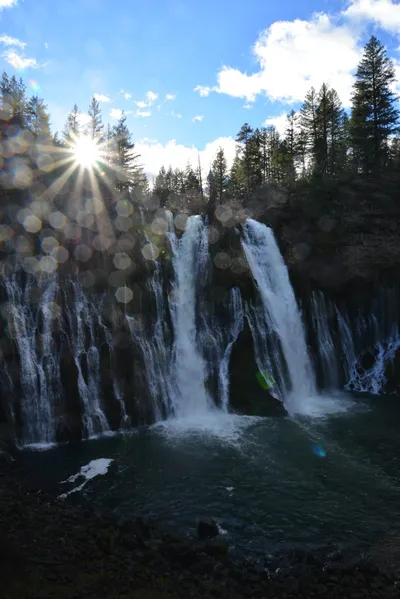 DSC_5937 (Large).JPG